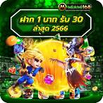 ฝาก1รับ30